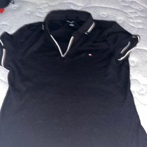 Brand new collared tommy